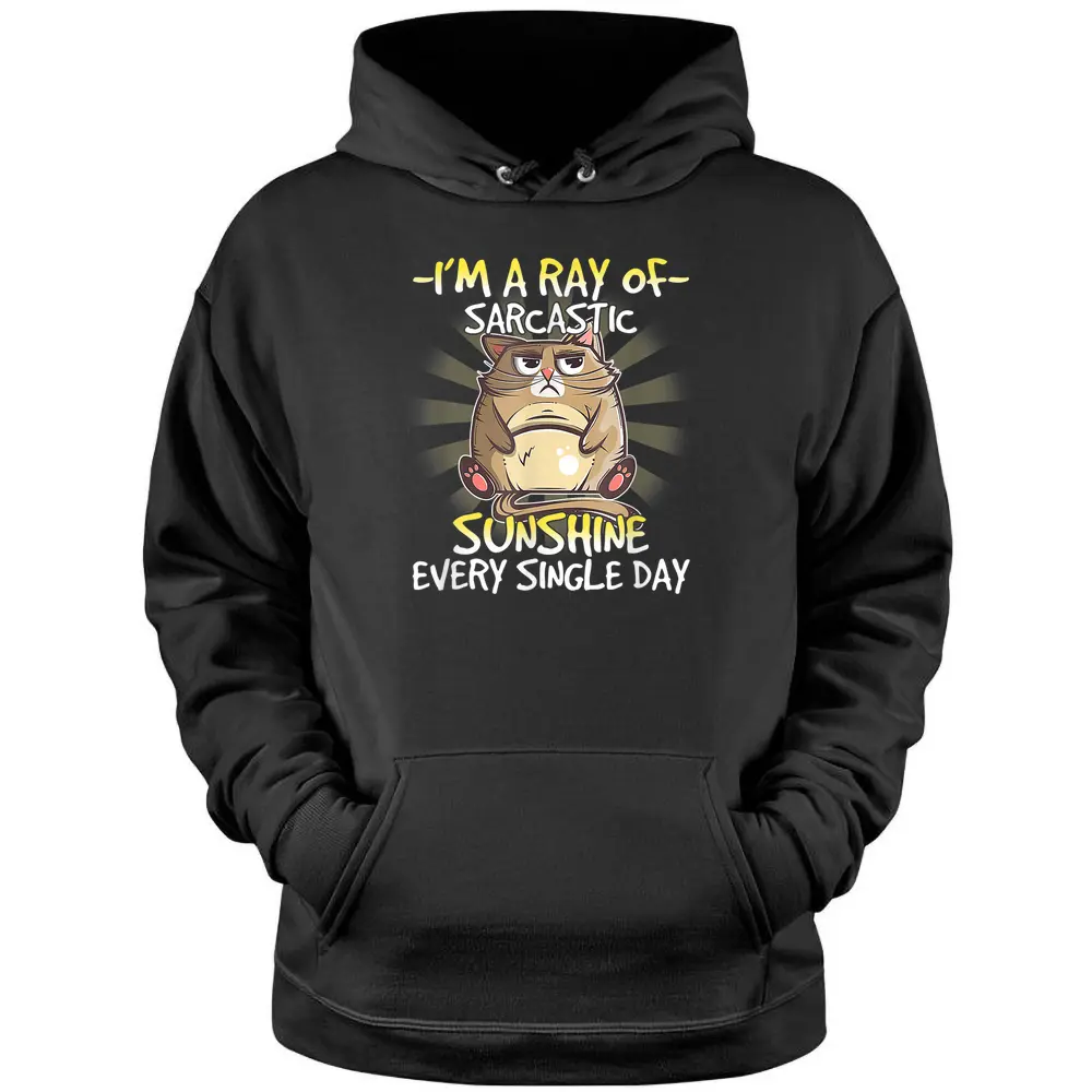 Cat I M A Ray Of Sarcastic Sunshine Every Single Day Pullover Hoodie