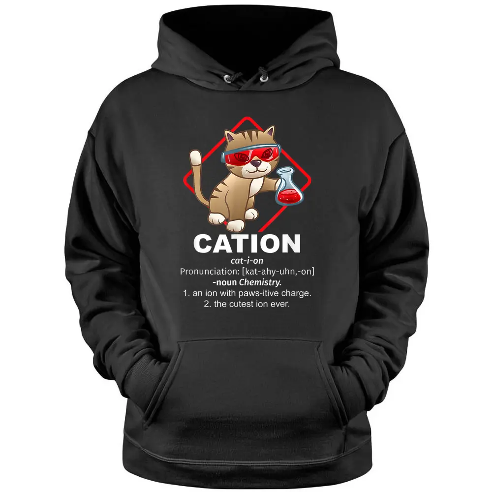 Chemistry Professor Kitty Science Day Cat Owner Chemist Pullover Hoodie