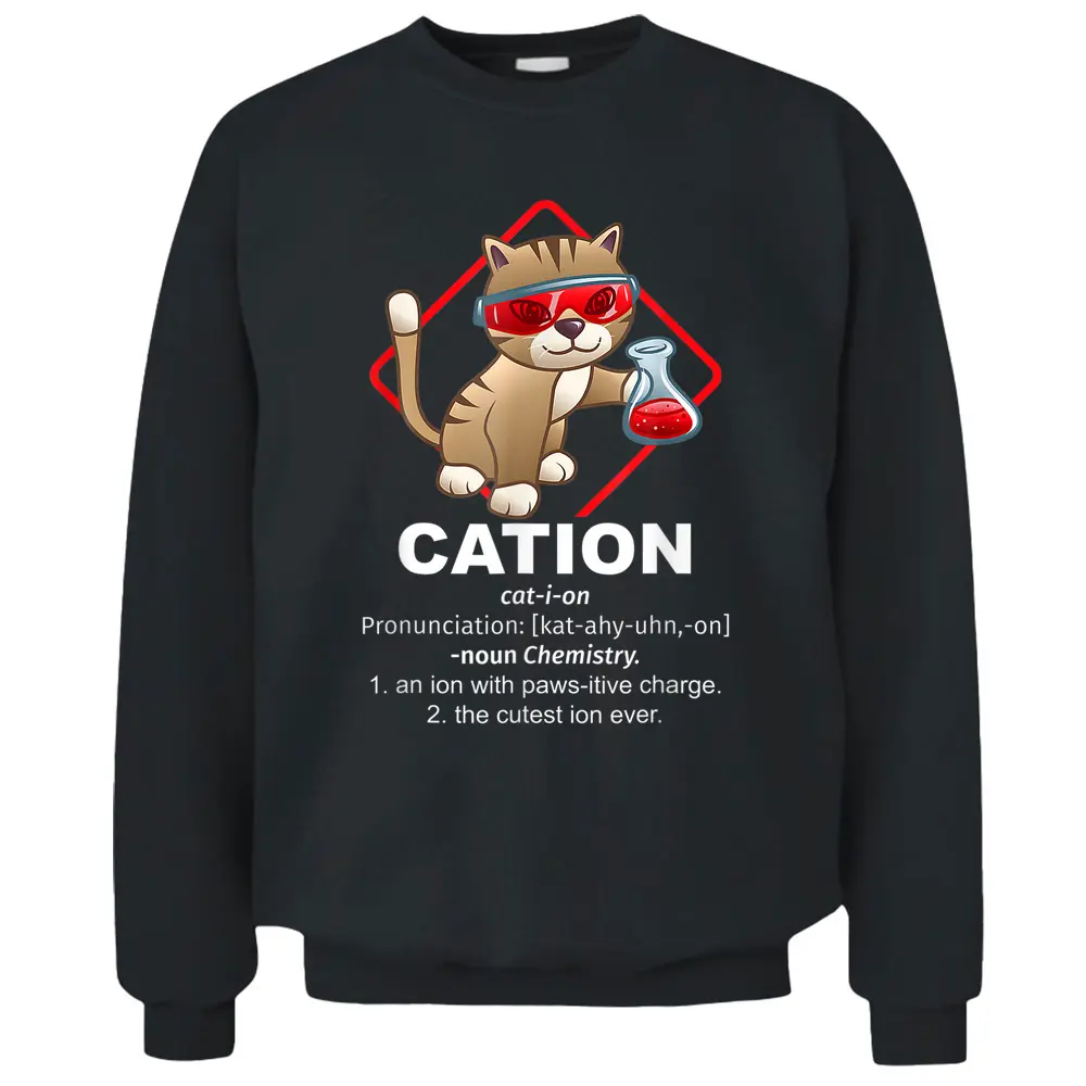 Chemistry Professor Kitty Science Day Cat Owner Chemist Pullover Sweatshirt