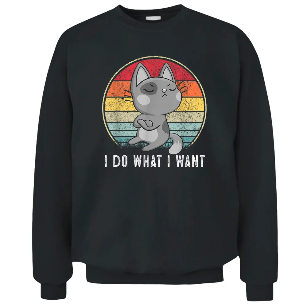 Cute Cat Lovers I Do What I Want Cat  Funny Cat Pullover Sweatshirt